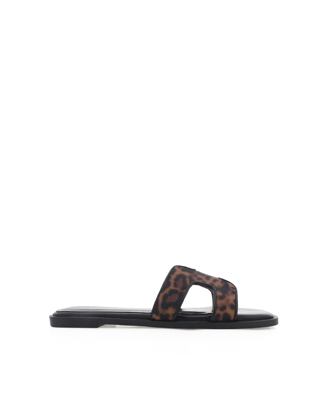 GORDY - LEOPARD-BLACK
