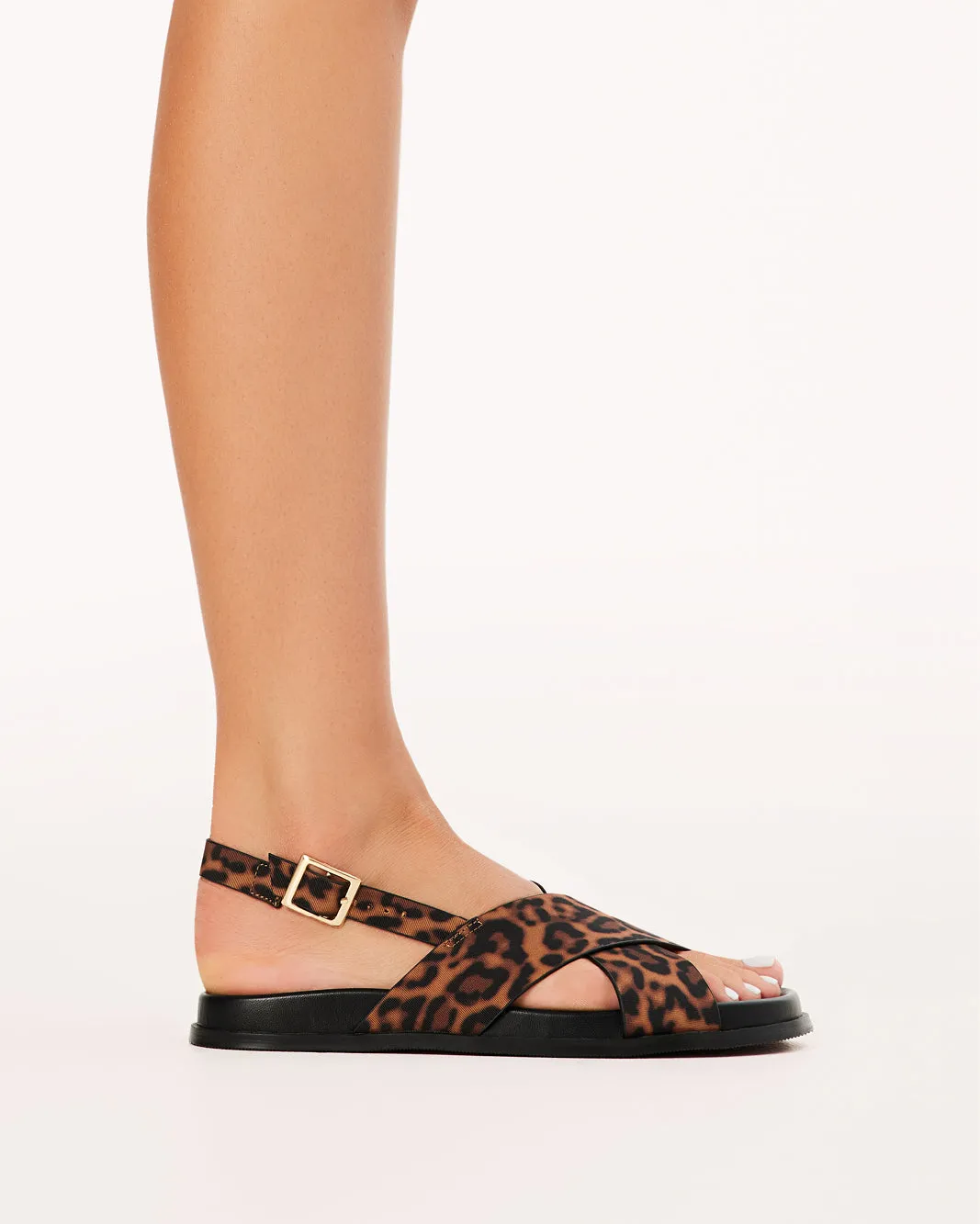 NAYELI - LEOPARD