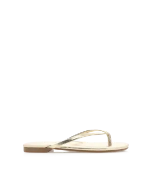 WINSOR - GOLD METALLIC